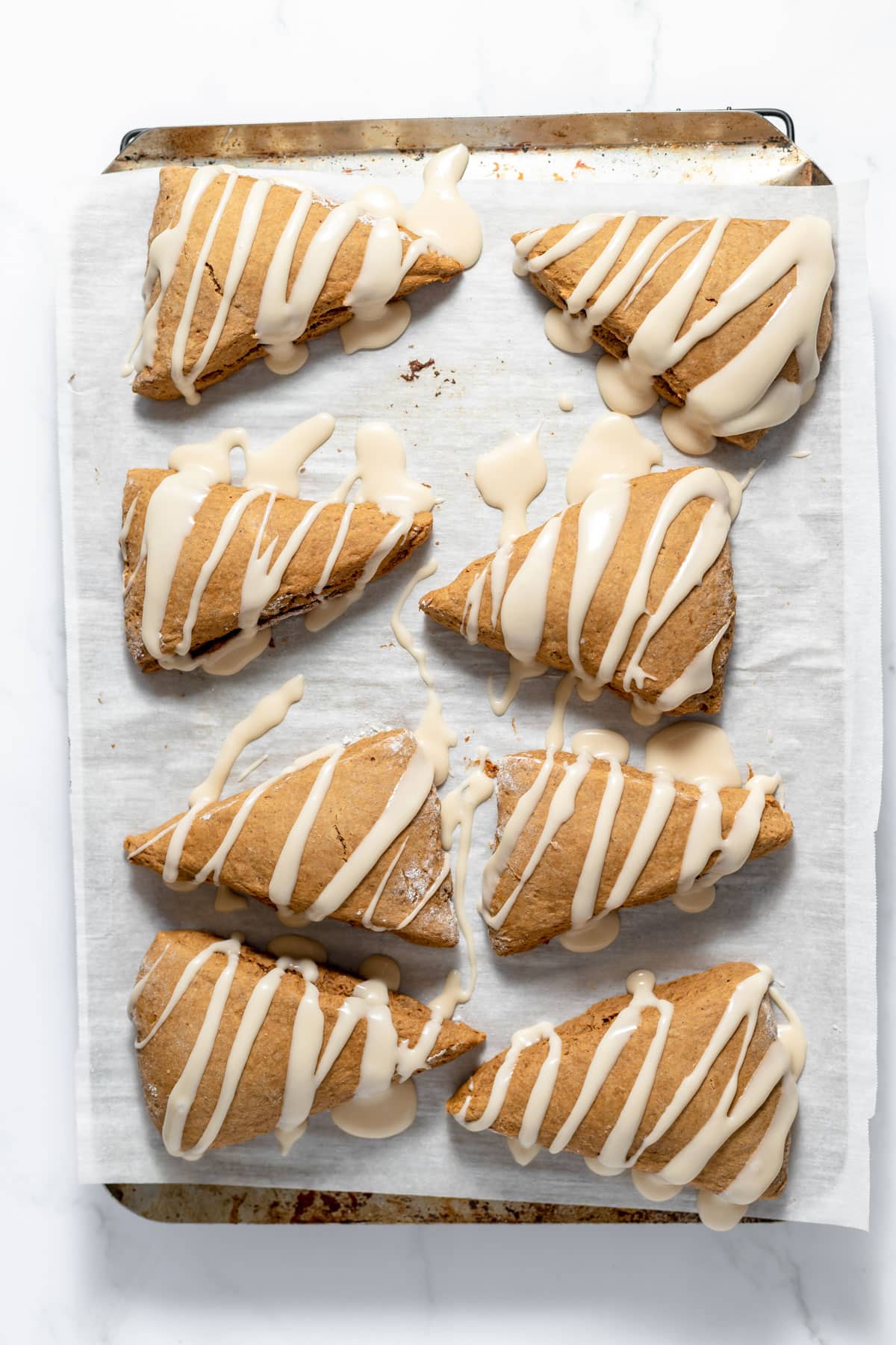 Eight gingerbread scones drizzled with maple glaze on a parchment lined baking sheet that have been baked in the oven.