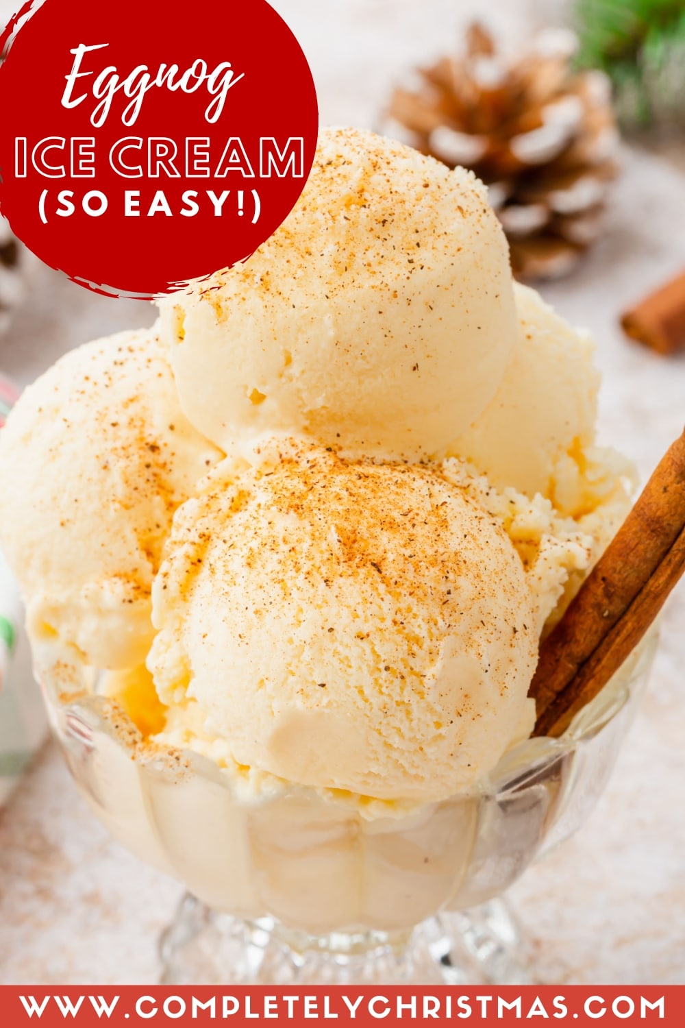 1Ingredient Eggnog Ice Cream Completely Christmas