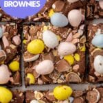 An overhead view of a closeup of Easter brownies with mini chocolate eggs cut into 9 pieces.