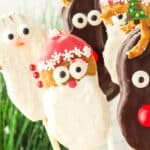 Nutter Butter Christmas cookie pops including Santa, reindeer, and snowman designs displayed together.